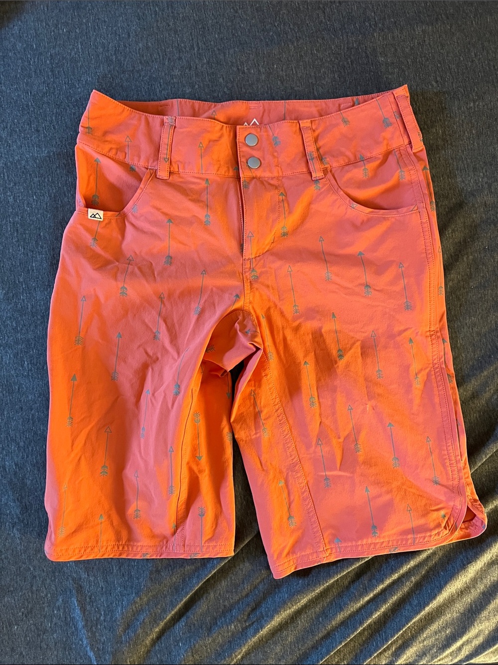 Wild Rye Shorts - size 6